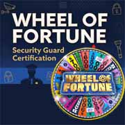 Wheel of Fortune Game